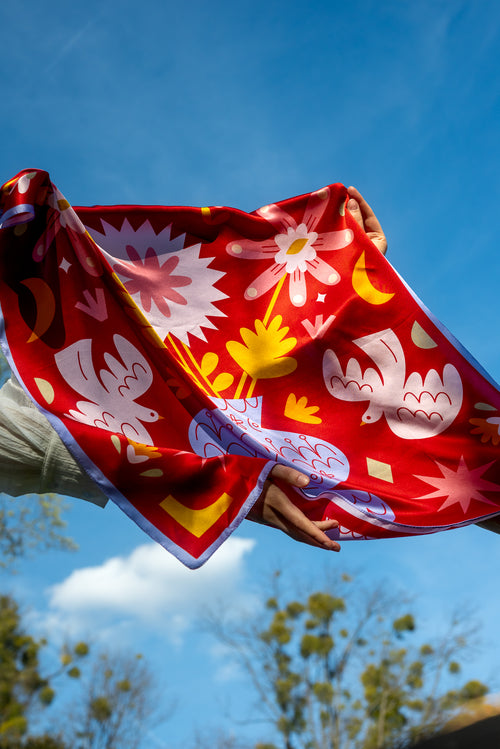 Ćwirki – Apaszka Jedwabna